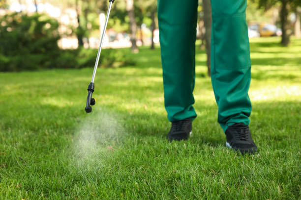 Best Residential Pest Control  in Gaylord, MN