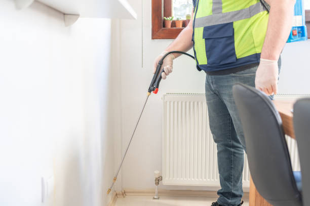 Best Affordable Pest Control Services  in Gaylord, MN