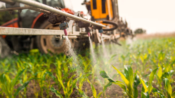 Best Commercial Pest Control Services  in Gaylord, MN